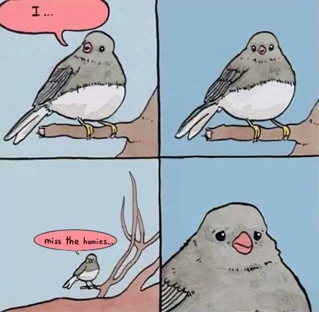 Stolen from somewhere, definitely relatable. #COVID19