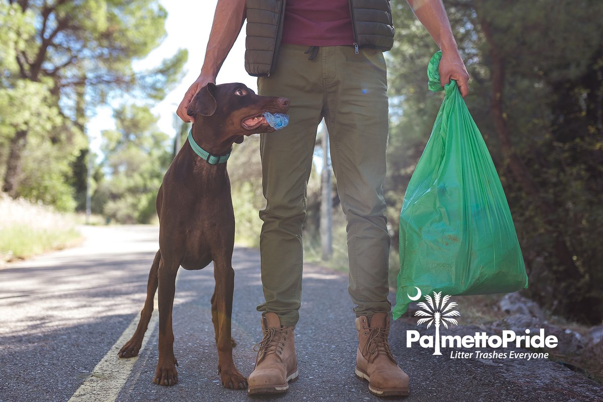 PalmettoPride's tweet photo. 🗣 What are some ways you are practicing #SocialDistancing? Why don't you #GrabABag, maybe your best friend, + pick up any litter you see along the way during your next outdoor walk. 🚮🐕☀️ Drop an image below showing how you're doing your part for a #LitterFreeSC ⬇️ https://t.co/7GMZMDqBiY
