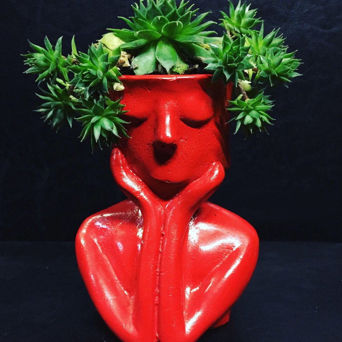 odizayn1's tweet image. Düşünüyorsak o halde varız 😄 #echiveria#kırmızı#flower#saksı#düşünenadam#odizayn
