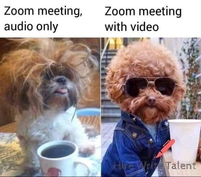 ITRevSummit's tweet photo. With many of you #WFH and taking digital conference calls, we feel that this is very relatable...#FunWithZoom #Stayhome https://t.co/9k7Wv0mc9M