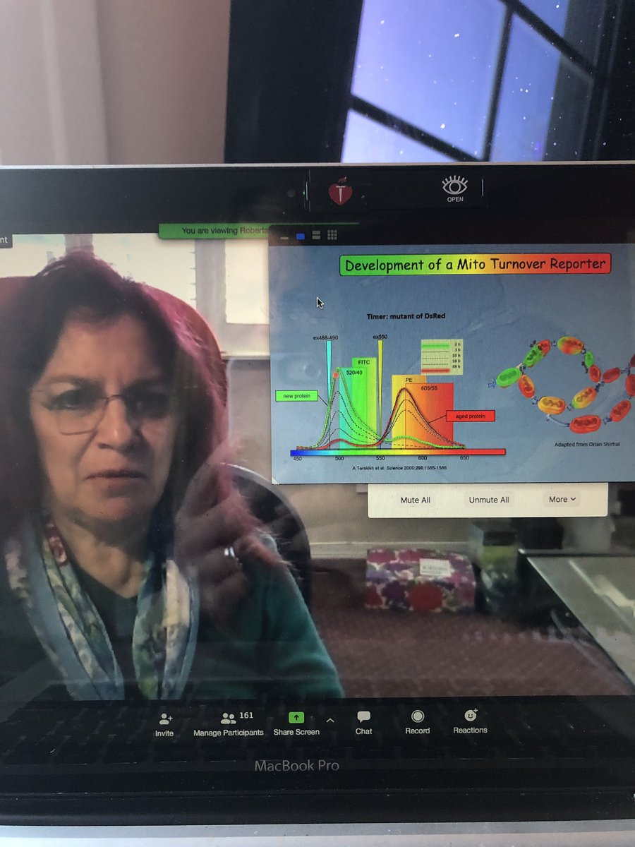 atherometab's tweet photo. We had a blast at our first #cardiometabolism #atherosclerosis virtual seminar! Thanks to everyone who participated and to our speaker Dr Gottlieb for an amazing talk. We have an amazing community! ❤️ 🧠 👍 https://t.co/Tz91688Y19