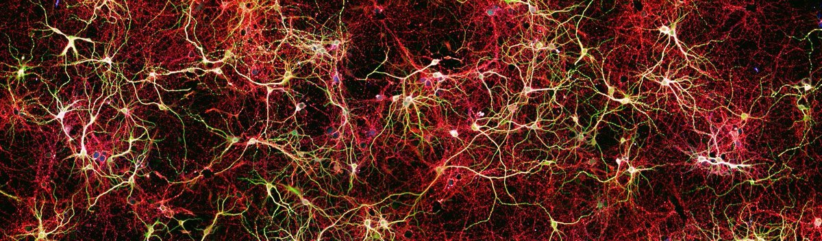 Bea Gomez tweet media