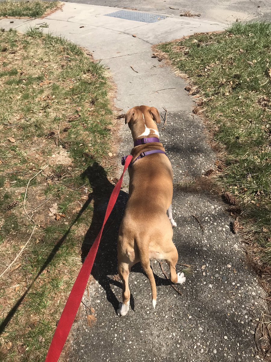 HTHScienceDept tweet media