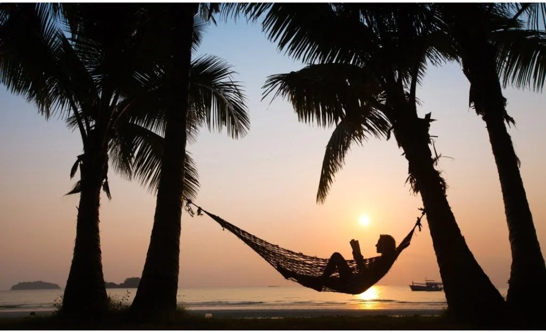 SHS Library tweet media