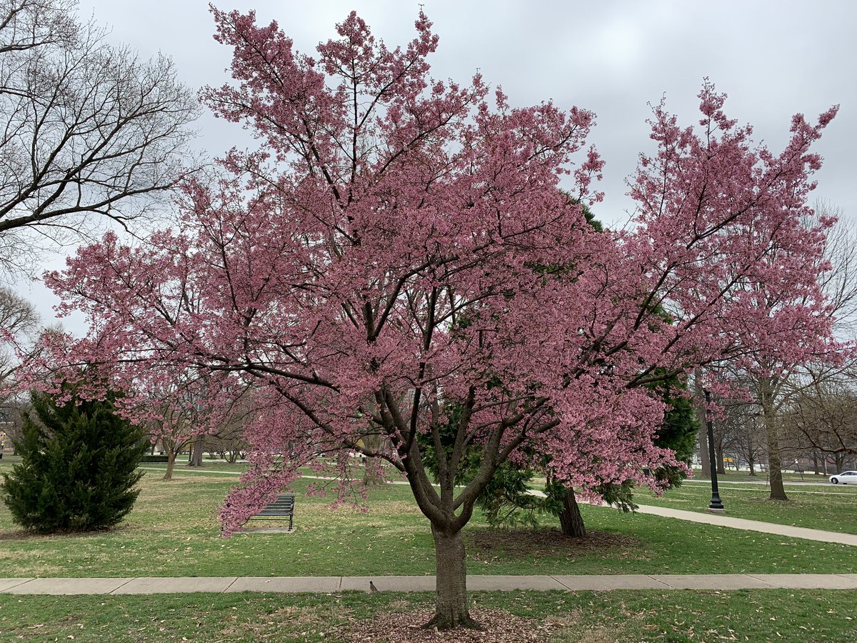 Friends Goodale Park (@GoodaleParkFrnd) / Posts / X