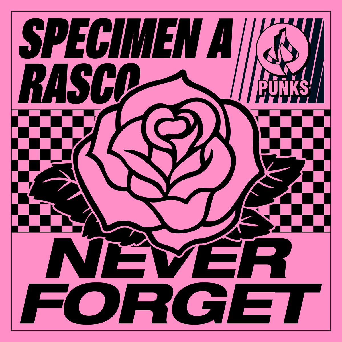 Rasco tweet media