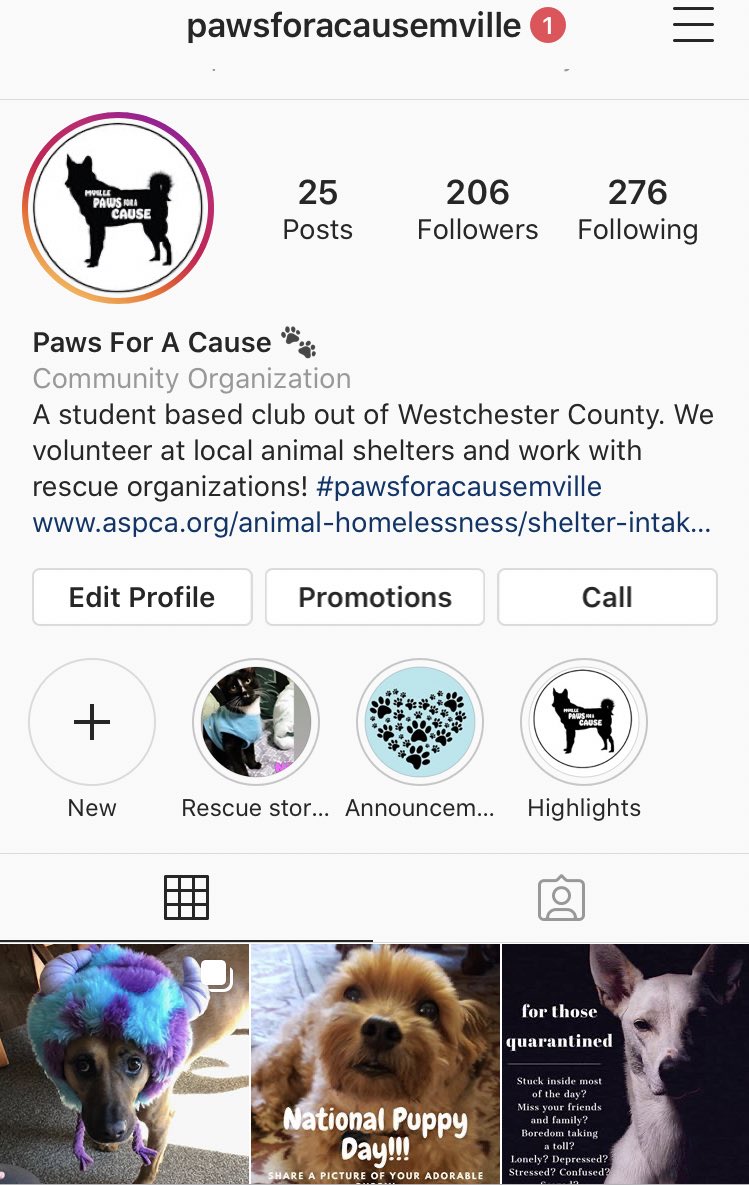 CritesAlexis's tweet photo. My professional identity would is being a special events coordinator or I really enjoy running social media accounts for businesses like @pawsforacausemville you should check us out on Instagram!  #DCIM353b #TXC20 https://t.co/x6h140vRa7