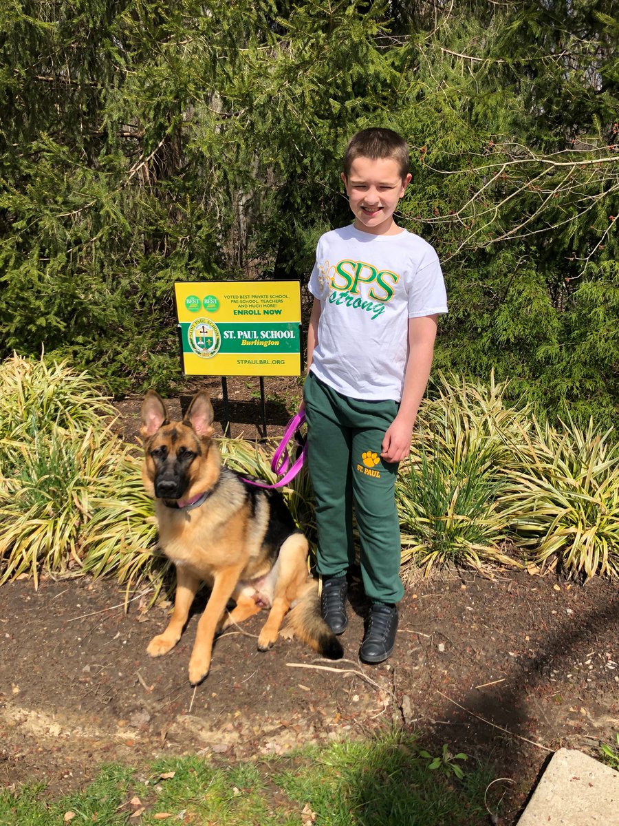 3vil3ddie666's tweet photo. @StPaulSchoolbur Max and Hershey going for their daily walk... https://t.co/zeyCsLTJmv