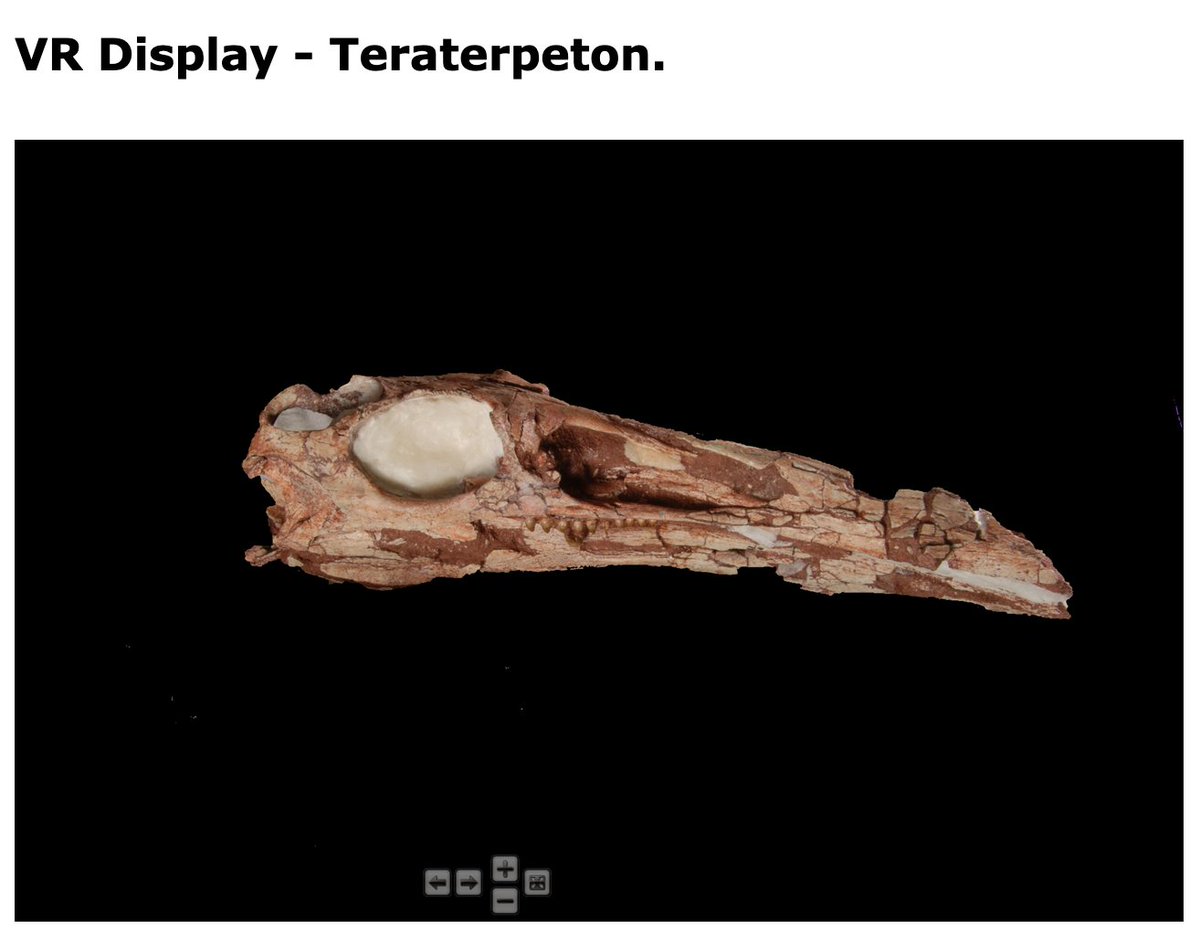 Tim Fedak, PhD FRCGS tweet media