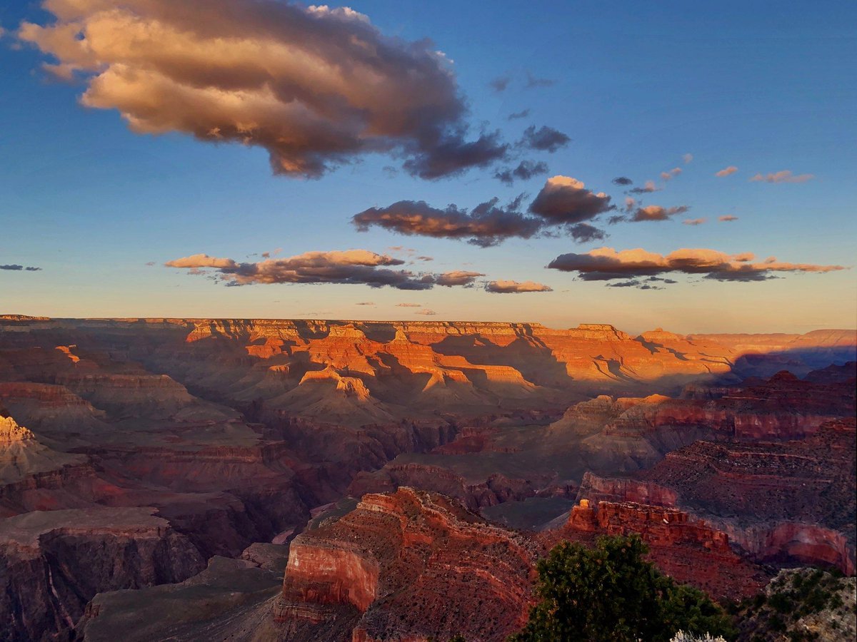 GCLodges's tweet photo. #OneWeekofWonder #Day5 #RoamFromHome #GrandCanyonLodges #XanterraTravel https://t.co/pRlKyXMRCy