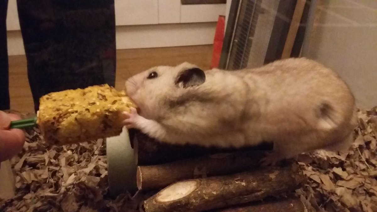 Catherine Klein tweet media