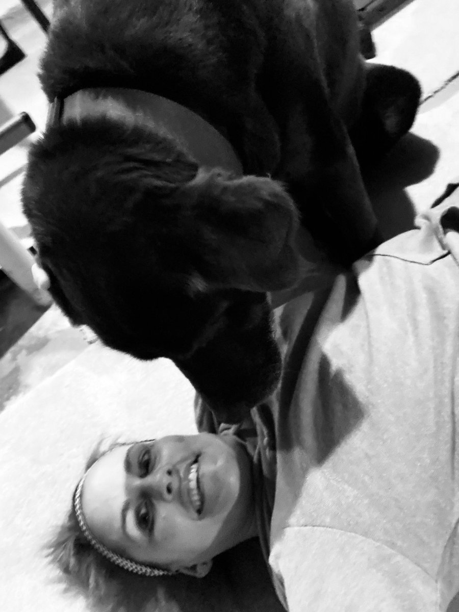CoachZadalis's tweet image. Working out with your best buds is much more enjoyable then being by yourself! #workoutpartners #workoutathome #goals #chocolatelab