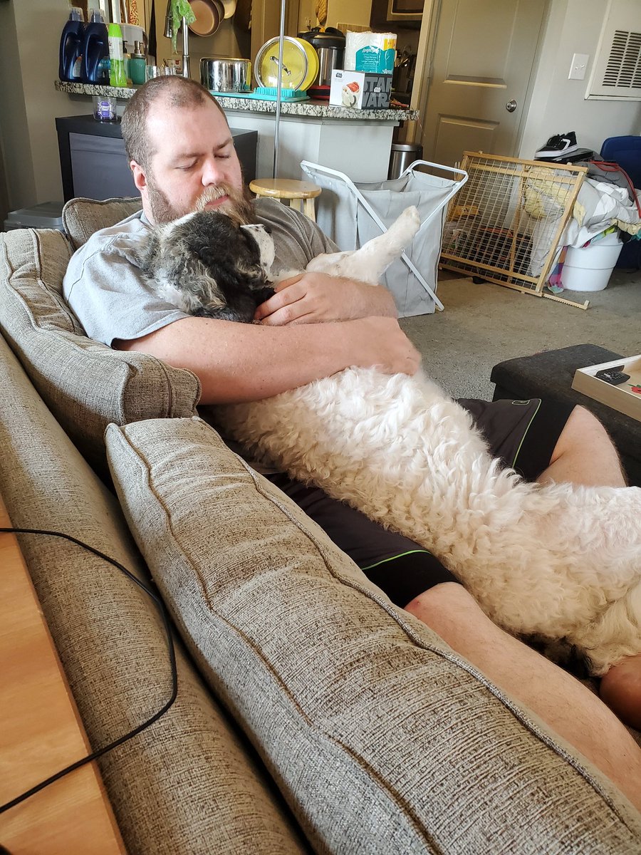 Read2meFoster's tweet photo. Work from home day 5: am afraid that my friends will realize that I only have pics of my pups and my hubs https://t.co/P24HrjOeEX