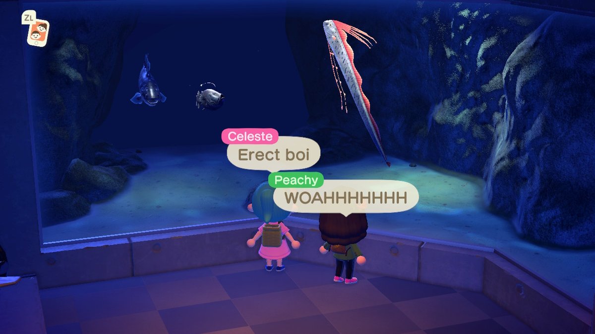 shlbymnstrrr's tweet photo. #AnimalCrossing #ACNH #NintendoSwitch https://t.co/ExIkJrkmhf