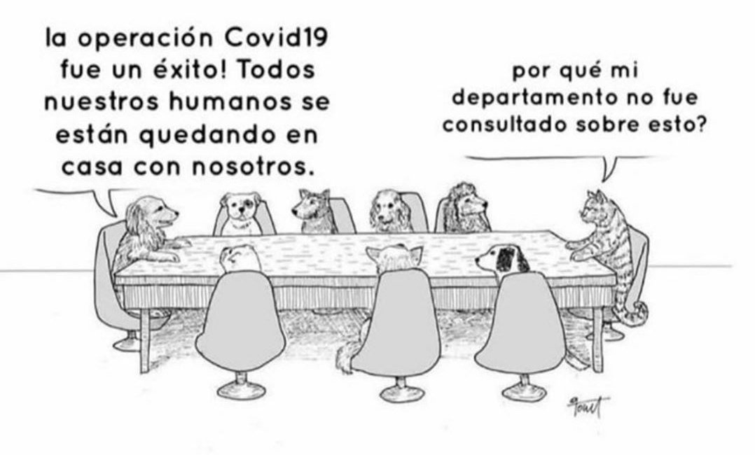 charriceclurxs's tweet photo. Mejor imagen de la pandemia que vas a ver en tu vida. https://t.co/VxLkHyQQBq