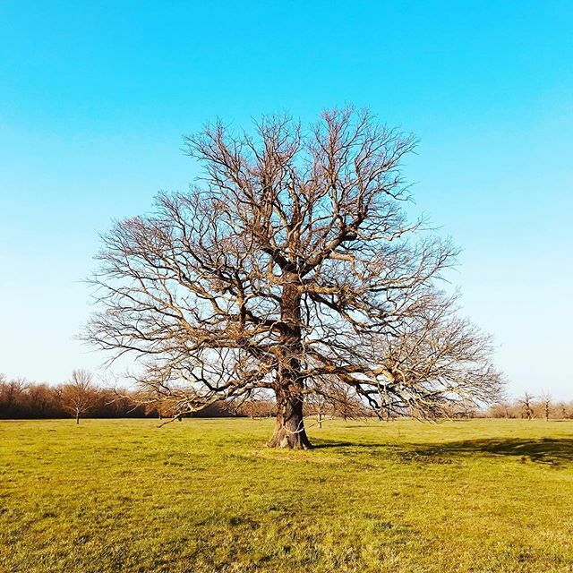 HenryEsche's tweet photo. Prachtvoll. #sauerstofftanken https://t.co/WhFvjLAvr1