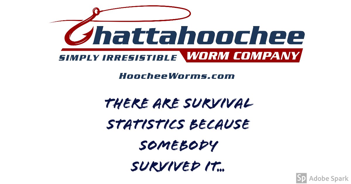 HoocheeWorms's tweet photo. https://t.co/PNx03UjqnV