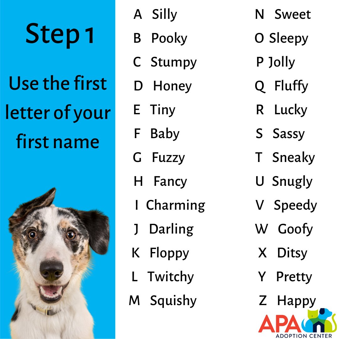 Apa Adoption Center What S Your Pet Name Apa Apamo Adoptdontshop