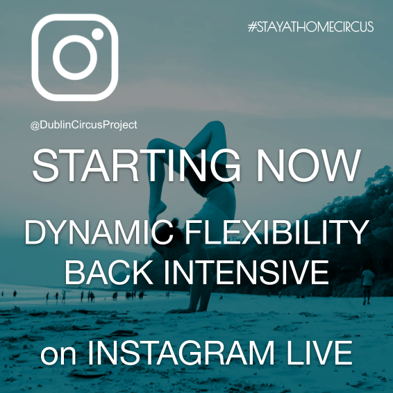 DublinCircus's tweet photo. STARTING NOW #StayAtHomeCircus with #DublinCircusProject
on https://t.co/FyMe0O2lP4
A free workshop with Erika Brocca on Dynamic Flexibility (Back Intensive) live from Italy.
#Circus @ISACSIreland #CircusIreland #dynamicflexibility #flexibility #stayathomechallenge #covid19 https://t.co/Tf4rd32F5x