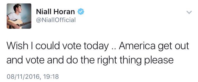 Niall has also take the time to speak on his social media and interviews about the importan of elections, going against Trump and encouraging young people to vote for their rights