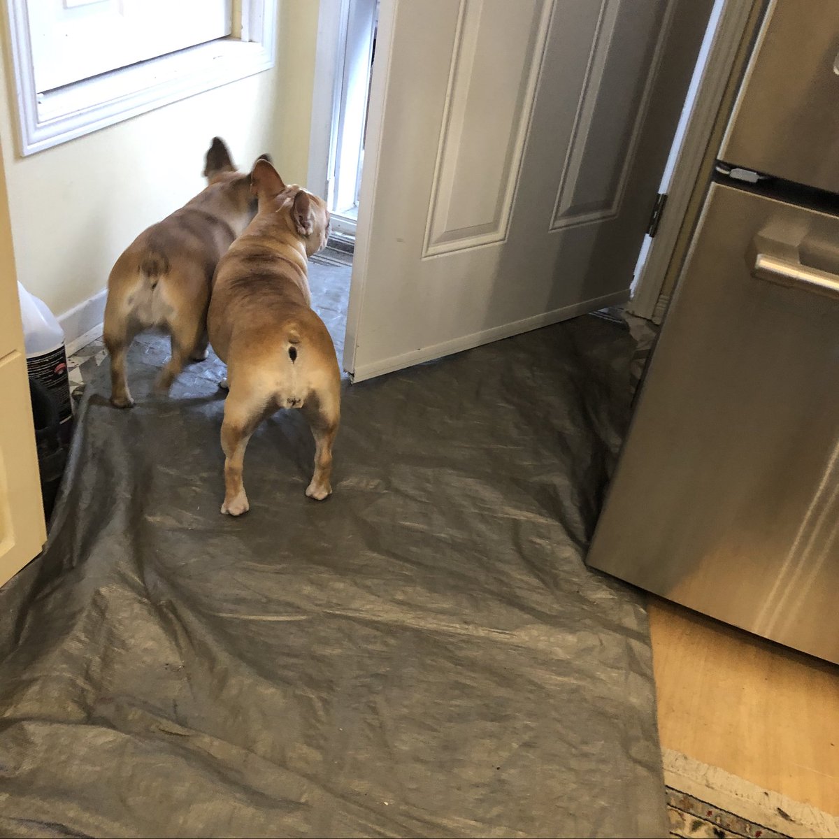 elainebirchall's tweet image. #Hoarding #ConquertheClutter 
We all want to go out. Don’t risk it. Join me on my new Podcast Take Back Your Life from fear and uncertainty.  When we can’t change what we want- let’s change what we can!! Wednesday’s 11am- noon daylight savings time. Link on #hoarding.ca