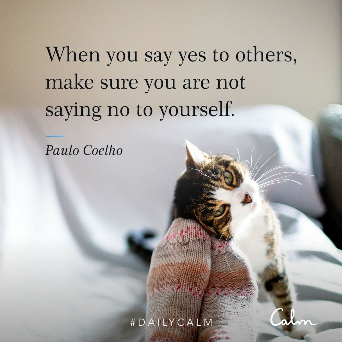 calm's tweet photo. What is one small way to say yes to yourself today? #DailyCalm https://t.co/oxkGBuxKps