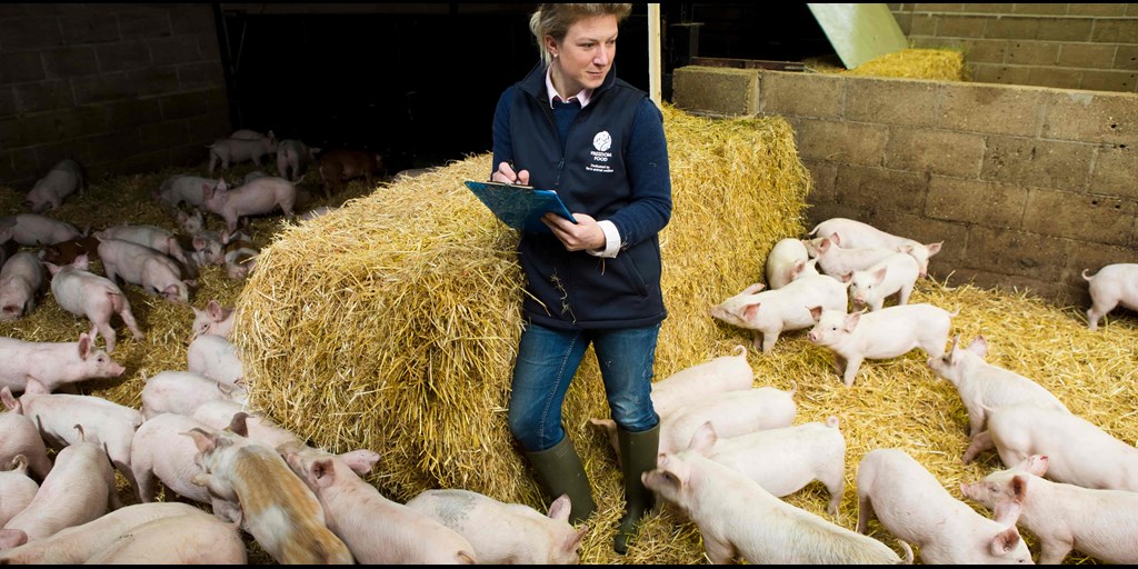 rspcaassured's tweet photo. Farrowing crates prevent #pigs from turning around. When you buy #RSPCAAssured labelled #pork, you can be sure the #pigs weren’t kept in #farrowingcrates and had room to turn around freely at all times. https://t.co/odXniRASxC https://t.co/SR1ystyvsa
