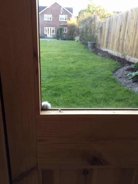 hashleybrown98's tweet photo. Excuse me sir could you spare a moment of your time to talk about the bible https://t.co/NZv6kAhJ95