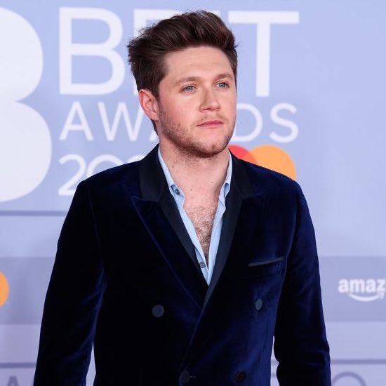 Niall Horan has been part of one of the biggest boybands in the whole world, having 2 solo albums, a #1 album, #1 song, #1 iTunes, sold out world tour, AMA, BMI London, #3 top new artist on Billboard and counting. All of that in 10 years of career as a musician and songwriter