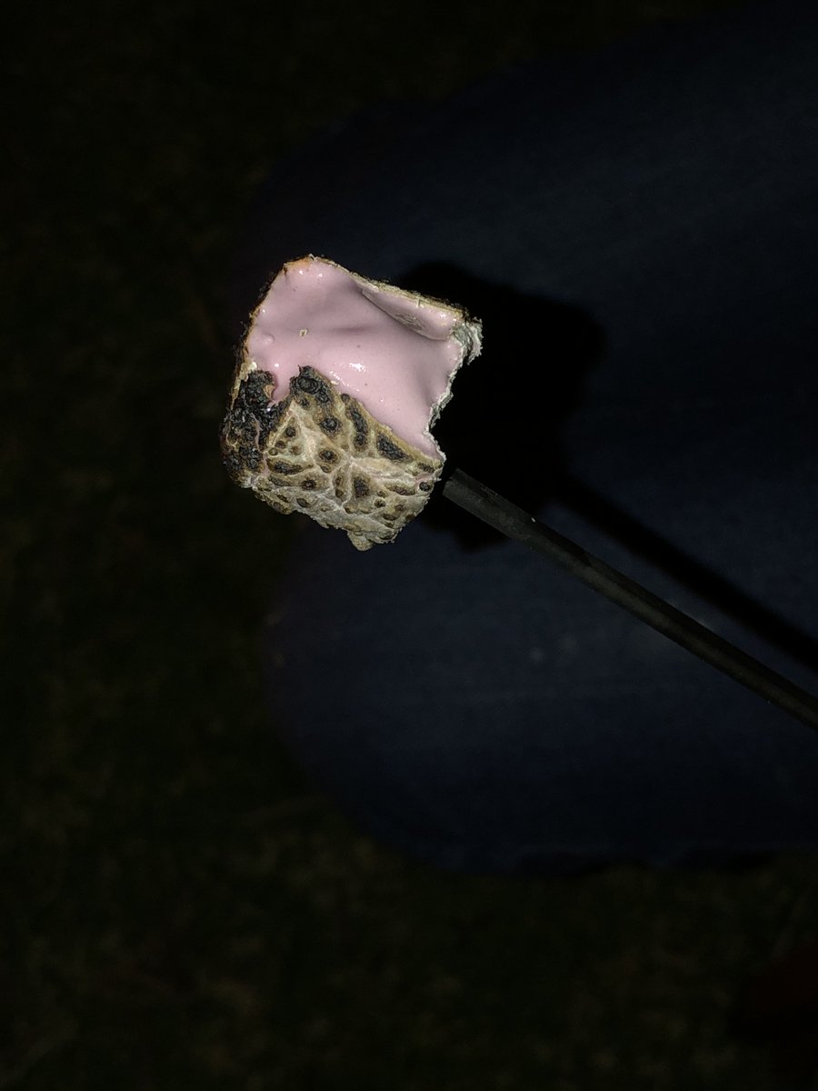 BentoFire's tweet photo. @LTuosto @amandavitalee I helped my host-family build a fire in their front yard today, since I am an expert.  Then we toasted marshmallows. Australians don't know about s'mores though. Please send a recipe. #stuckinAustralia #makingfun https://t.co/8pSkLRdtCd