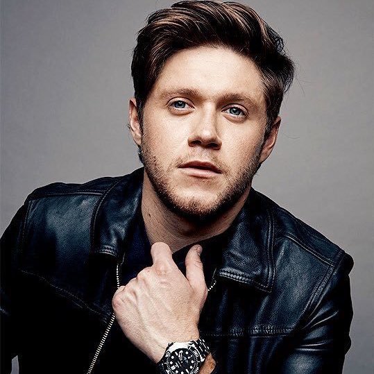 Niall also has been signed to a major modelling agency Wilhelmina Models
