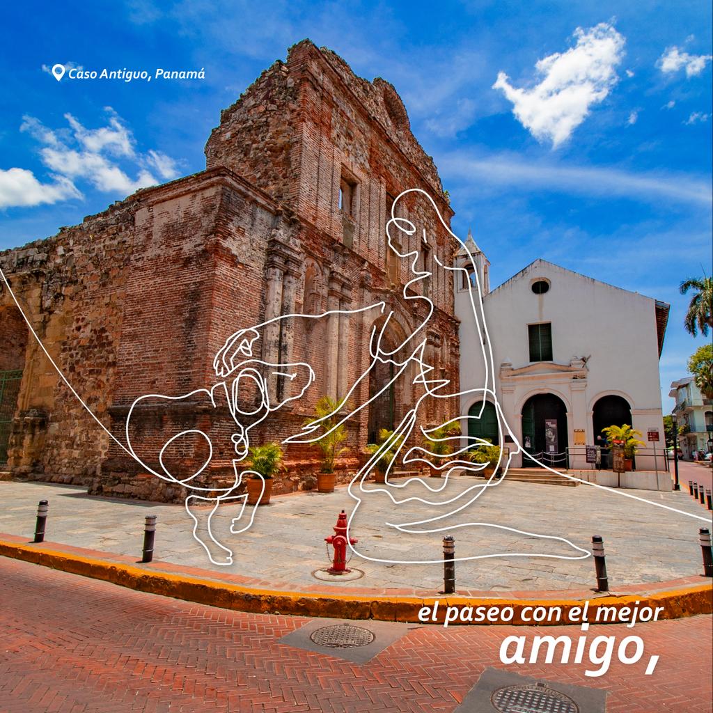 ATP_panama's tweet image. Esos pequeños detalles que marcan todas nuestras vidas. Saldremos con más ganas de seguir coleccionando esos pequeños momentos #VolveremosAviajar 🚘🛣️🚦