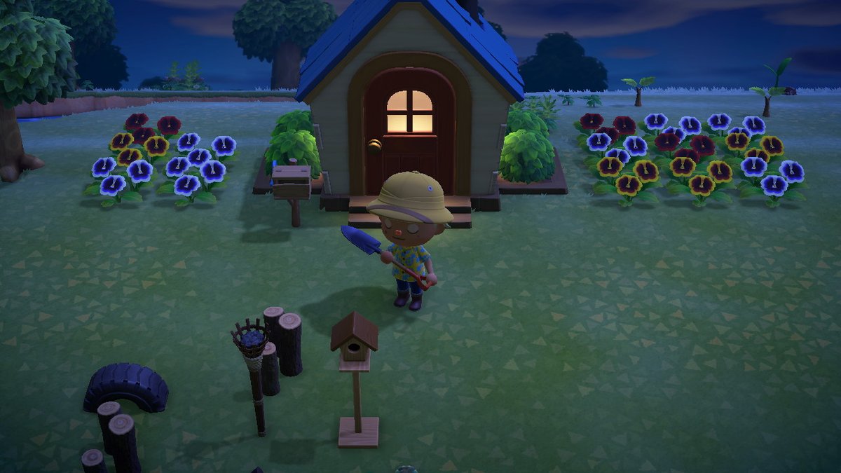 augobaugo's tweet photo. #AnimalCrossing #ACNH #NintendoSwitch https://t.co/ESGeLTfUjy