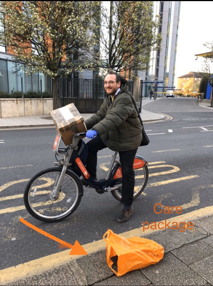 NHM Coleoptera tweet media