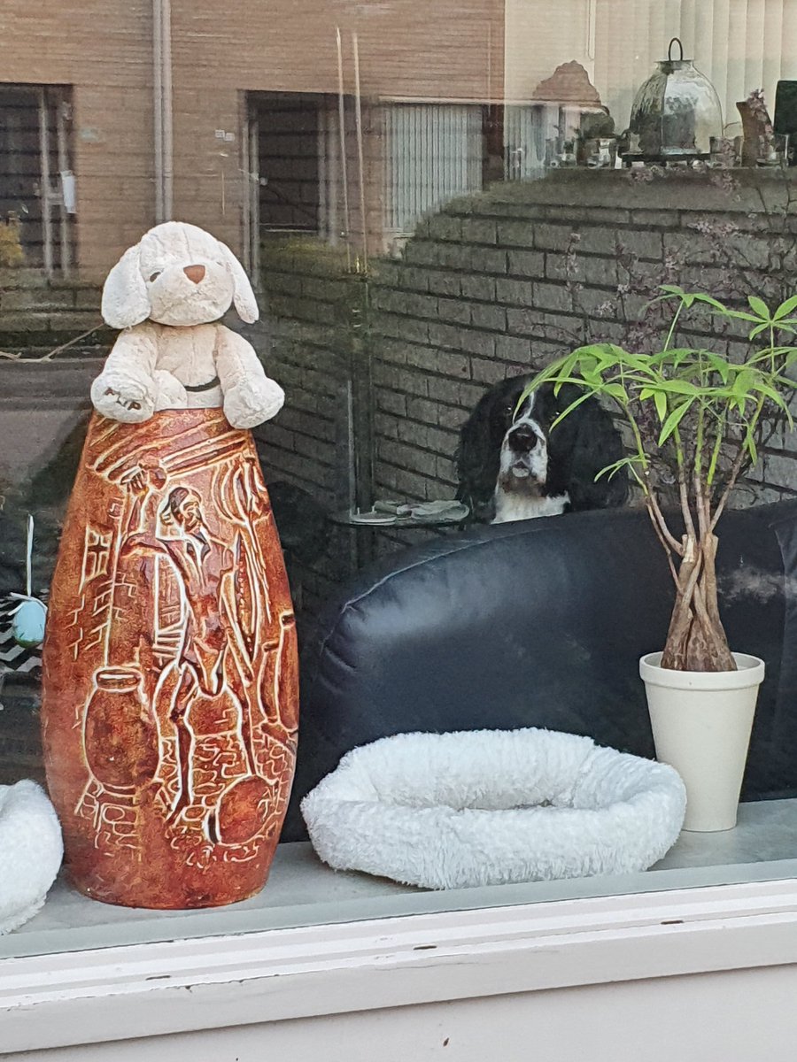 GerryHoekman's tweet photo. Ook ik doe mee #berenjacht ! p.s #hetgaatomdebeerlinks #Raalte #hartkamp https://t.co/68YdP4vaIK