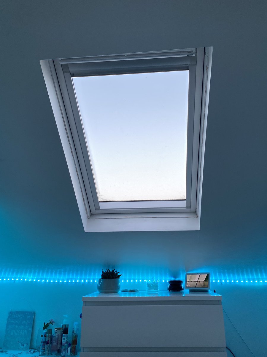 CaseyRutland's tweet photo. #WFHwindows courtesy of the eldest daughter’s bedroom. #QuietSpace https://t.co/soJGeqPIYM