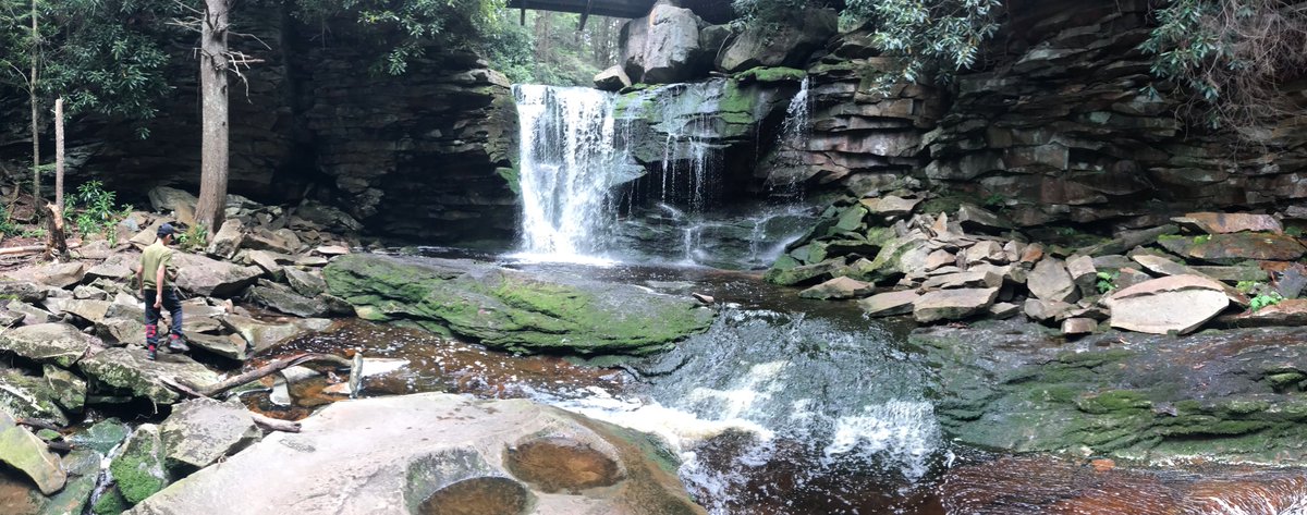 olddoginnovator's tweet photo. Beautiful Elakala Falls is in Blackwater Falls State Park near Davis, West Virginia. (Canaan Valley, West Virginia) #DCgetaway #ElakalaFalls https://t.co/sftkgvRumV