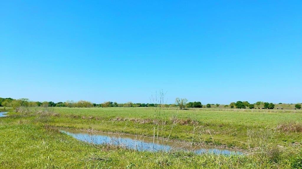 GBRTrust's tweet photo. Recent rains made it to our Plum Creek Wetlands Preserve and filled 19 constructed ponds and wetlands. Staff visited the preserve to get some Vitamin N (nature). Plants, animals and insects are evidently happy to have the spring rains, but the Chinaberry trees were not as lucky. https://t.co/ydgdYwFneg