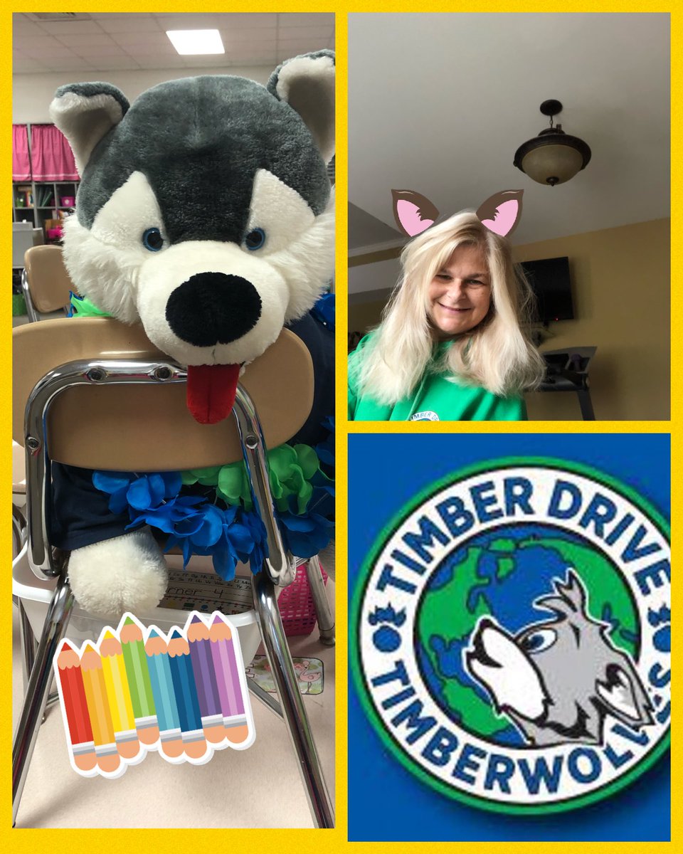 kinderwolves215's tweet photo. Last day of virtual spirit week. Timber Drive Spirit wear! I really do miss my class, teammates, and school. The Beach Boys sing a great song: Be true to Your School. Check it out. @TimberDriveES #UnitethePack https://t.co/pRUouJaGq0