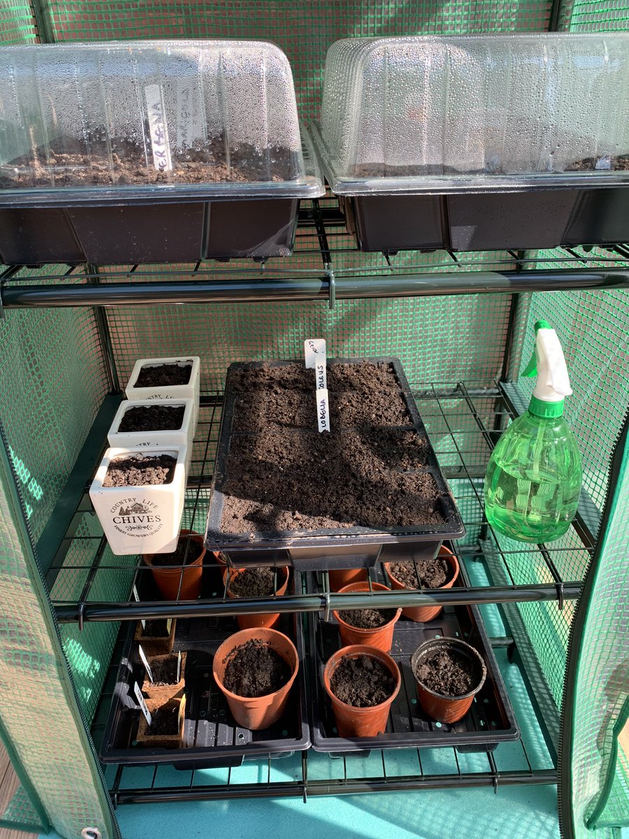 MissMarstonGeog's tweet photo. There are some positives to take from this lockdown. Itβs all about finding them and celebrating them. Let the home gardening commence π
π₯π±π» @GWmag #nocluewhatimdoing #pleasegrow πΊ if anyone has any tips Iβd welcome them! π©πΌβπΎ #gardening @LoveYourGarden2 https://t.co/TjYtpYUSMa