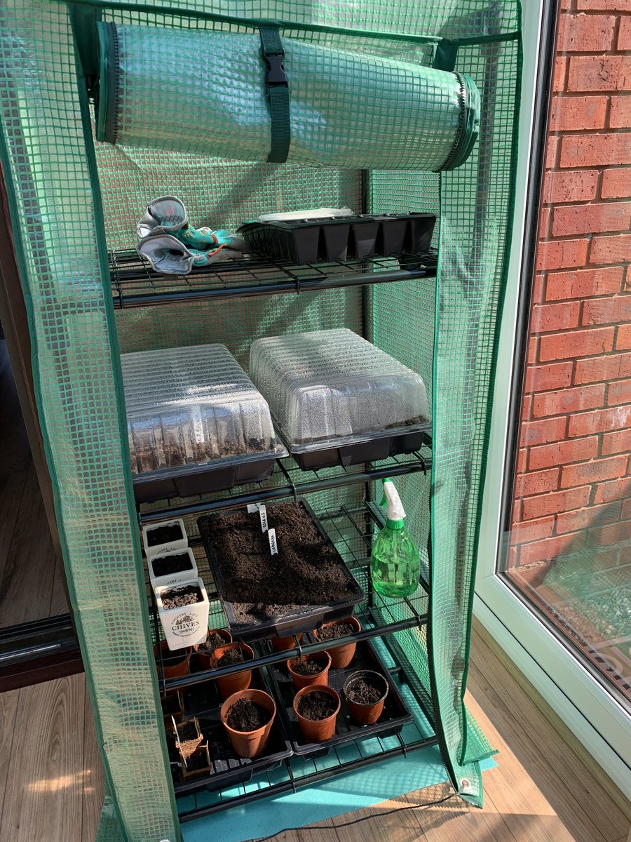 MissMarstonGeog's tweet photo. There are some positives to take from this lockdown. Itβs all about finding them and celebrating them. Let the home gardening commence π
π₯π±π» @GWmag #nocluewhatimdoing #pleasegrow πΊ if anyone has any tips Iβd welcome them! π©πΌβπΎ #gardening @LoveYourGarden2 https://t.co/TjYtpYUSMa