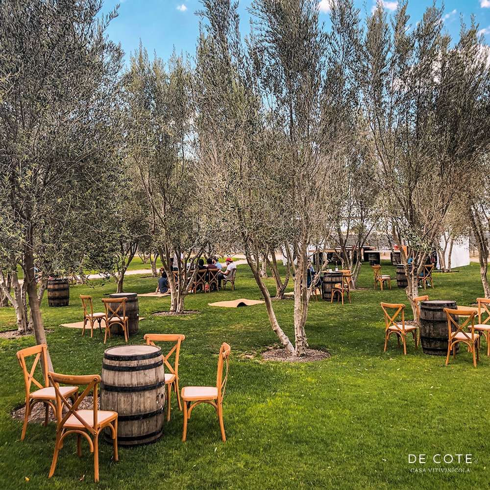 #CuandoEstoSeAcabe lo primero que haré es ir a disfrutar de un buen vino con familia y amigos 🍷😊