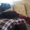 aeyberry's tweet photo. Love you SO MUCH MY Boy

Heaven Gain We lost

You are NOT suffer anymore

God bless us to have you

ALLOW us to have you go to heaven in Daddy'arms in YOUR Home.

RIP CUSTER

6/9/2005 - FOREVER IN OUR HEARTS https://t.co/WrVLeIxBxS
