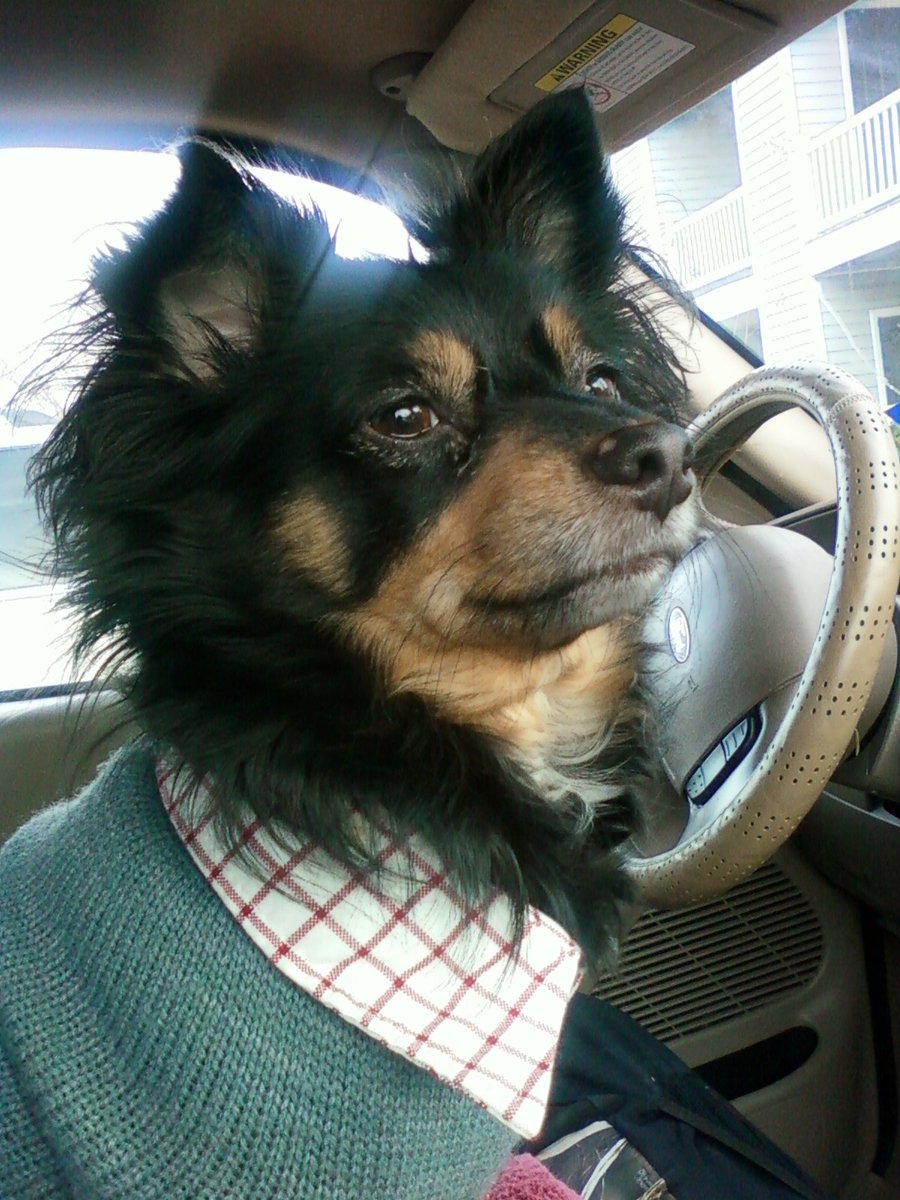 aeyberry's tweet photo. Love you SO MUCH MY Boy

Heaven Gain We lost

You are NOT suffer anymore

God bless us to have you

ALLOW us to have you go to heaven in Daddy'arms in YOUR Home.

RIP CUSTER

6/9/2005 - FOREVER IN OUR HEARTS https://t.co/WrVLeIxBxS