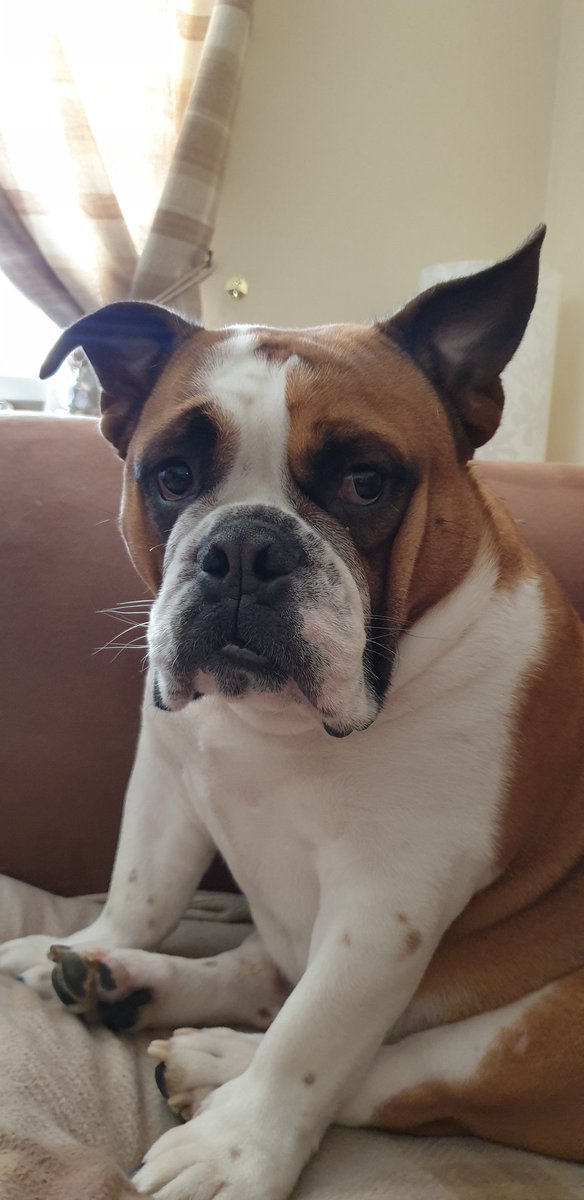 Donna (@donnaotto16) on Twitter photo 