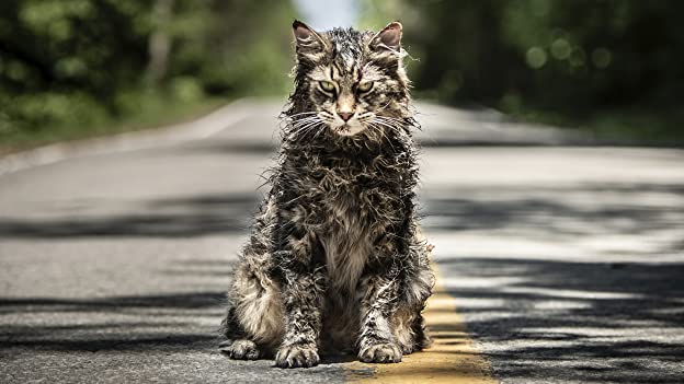 SemetraRhodes's tweet photo. #HorrorFriday Random #KeywordHorror Movies #NowWatching PET SEMATARY (2019) [Keyword: Based On Novel] via Amazon Prime (I never did make it to the theater for this one, so this is my 1st viewing) #FridayFrights #PetSematary #PetSematary2019 https://t.co/EP4iyhFFfJ