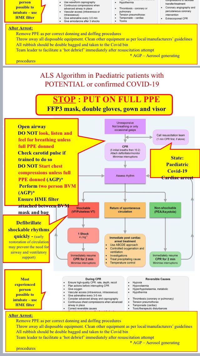 jenny mitchell tweet media