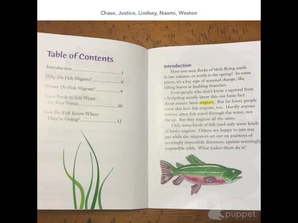 EzellLayne's tweet photo. I love listening to my kiddos read their guided reading books to me by using the Shadow Puppet app! This allows me to give the parents and students skills to work on while at home! @pvespride #elearning https://t.co/qWfb0inzAF