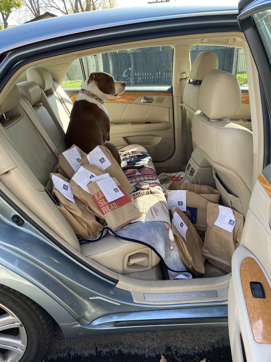 CapitalBooksOnK's tweet image. Lily is out making Arden-Arcade deliveries now 🐶🐾📚
.
#bookstoredog #bookmobile #bookdelivery