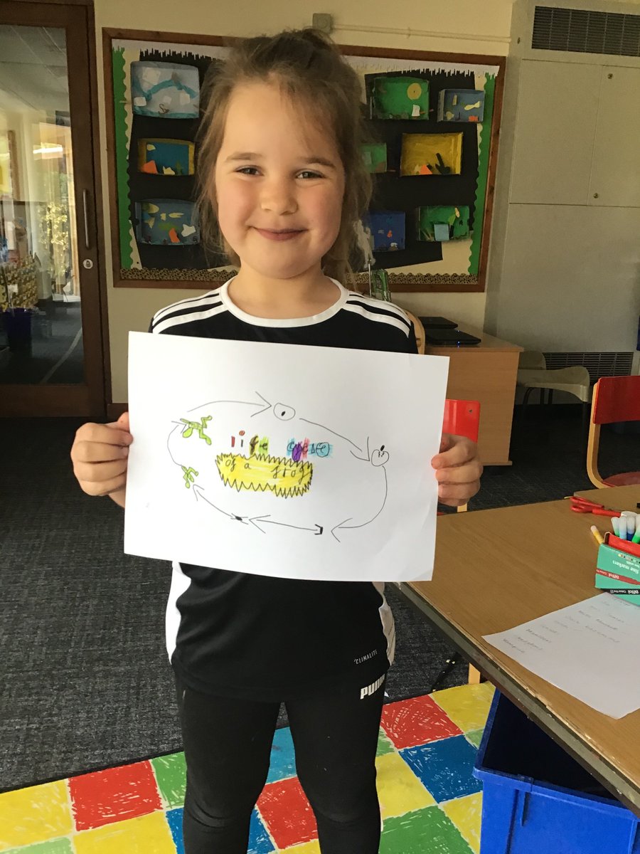 HeadCkis's tweet photo. We have enjoyed looking at the frogspawn at CKIS this week and have been keen to complete the challenge set by Mrs Hunt and Mrs Fox to draw our own frog life cycles! https://t.co/QaCOYLe7Nj